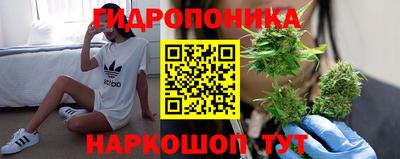 молекула духа Дубна