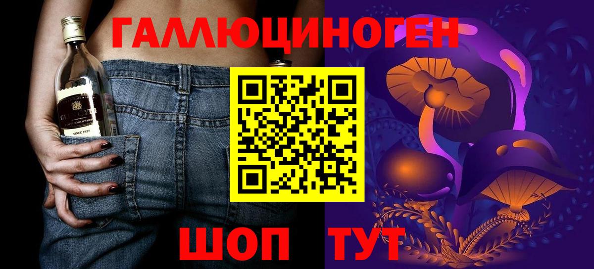 Гуково  Псилоцибиновые грибы Psilocybe  Вход с VPN 