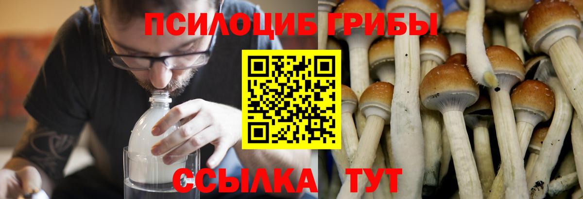 Псилоцибиновые грибы Magic Shrooms Гуково